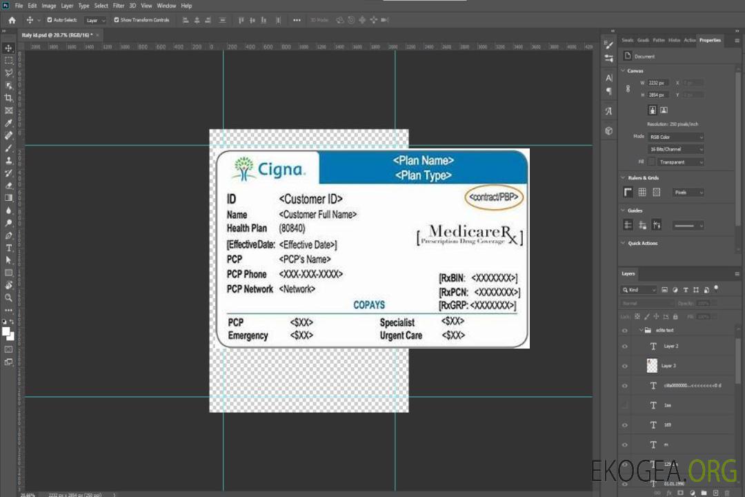 Carte d'assurance maladie USA Cigna template